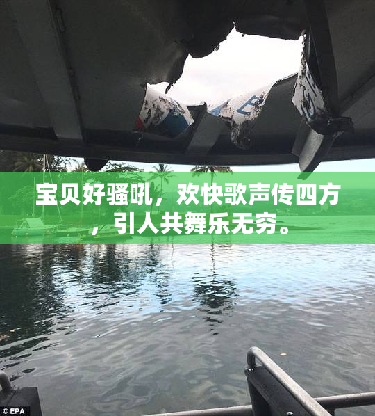 宝贝好骚吼，欢快歌声传四方，引人共舞乐无穷。