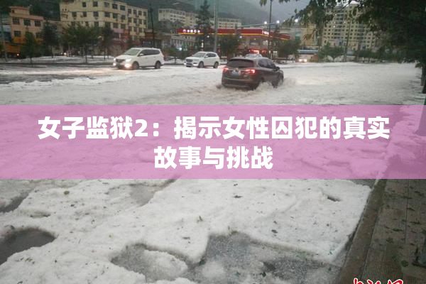 女子监狱2：揭示女性囚犯的真实故事与挑战