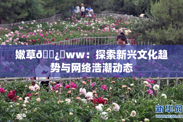 嫩草🌿‌ww：探索新兴文化趋势与网络浩潮动态