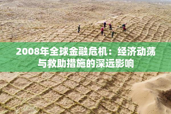 2008年全球金融危机：经济动荡与救助措施的深远影响