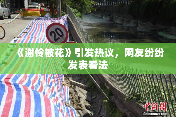 《谢怜被花》引发热议，网友纷纷发表看法