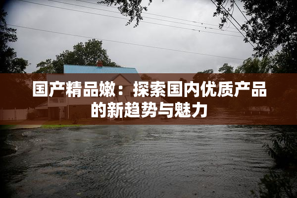 国产精品嫩：探索国内优质产品的新趋势与魅力