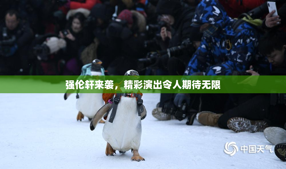 强伦轩来袭，精彩演出令人期待无限