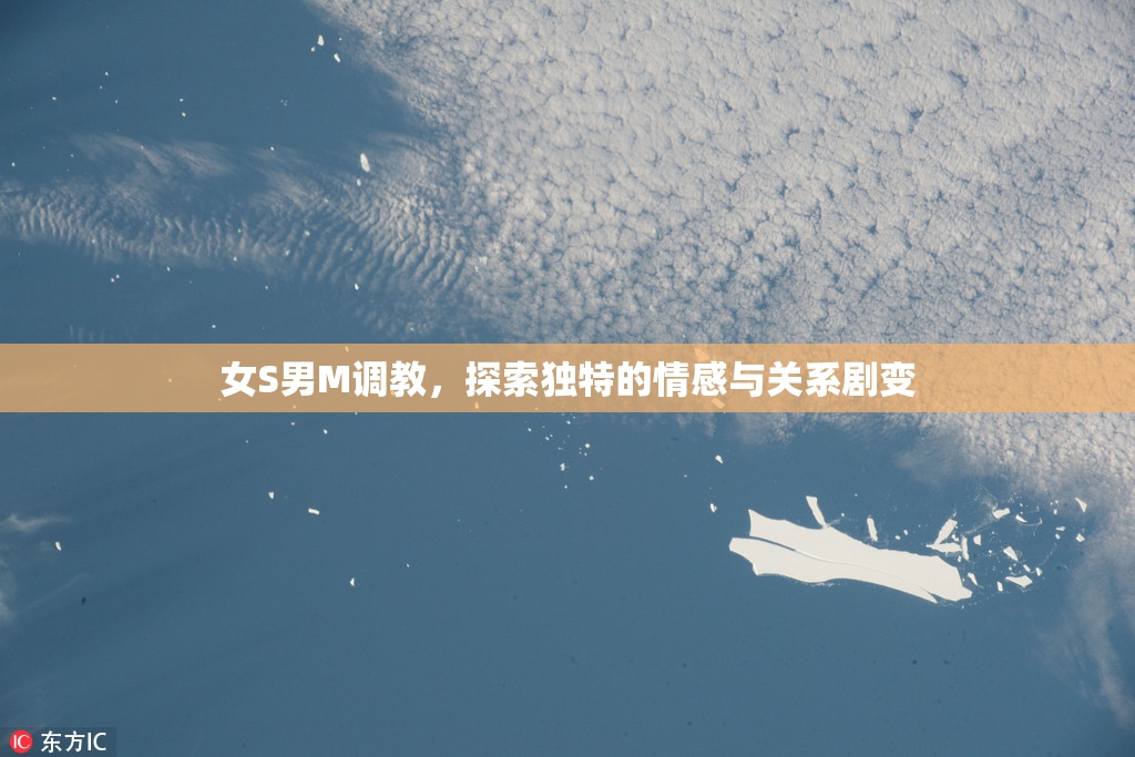 女S男M调教，探索独特的情感与关系剧变