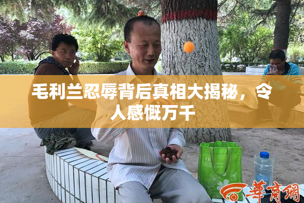 毛利兰忍辱背后真相大揭秘，令人感慨万千