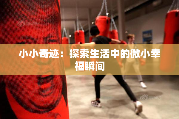 小小奇迹：探索生活中的微小幸福瞬间