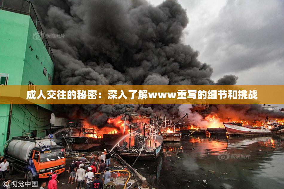 成人交往的秘密：深入了解www重写的细节和挑战