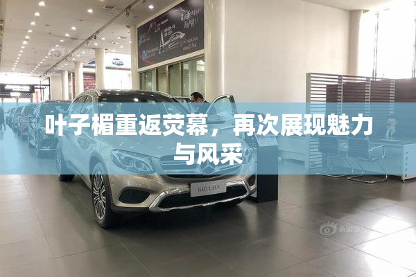 叶子楣重返荧幕，再次展现魅力与风采