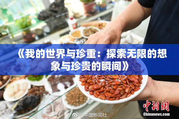 《我的世界与珍重：探索无限的想象与珍贵的瞬间》