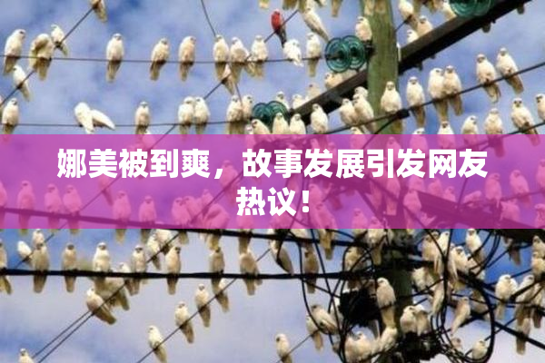 娜美被到爽，故事发展引发网友热议！