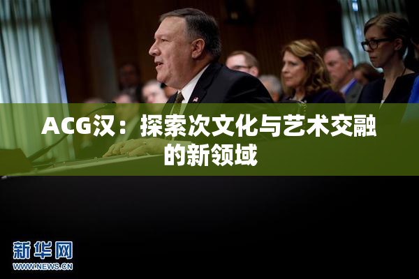 ACG汉：探索次文化与艺术交融的新领域