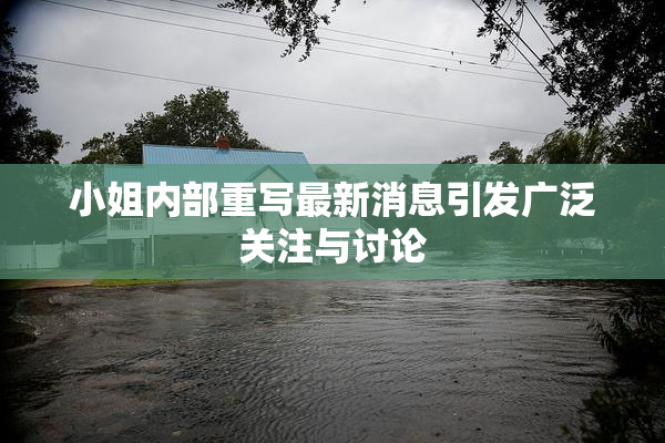 小姐内部重写最新消息引发广泛关注与讨论