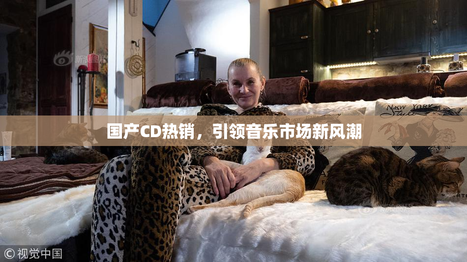 国产CD热销，引领音乐市场新风潮