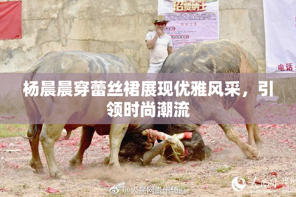 杨晨晨穿蕾丝裙展现优雅风采，引领时尚潮流