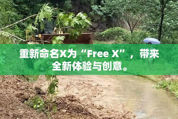 重新命名X为“Free X”，带来全新体验与创意。
