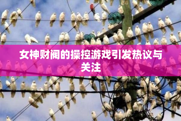 女神财阀的操控游戏引发热议与关注