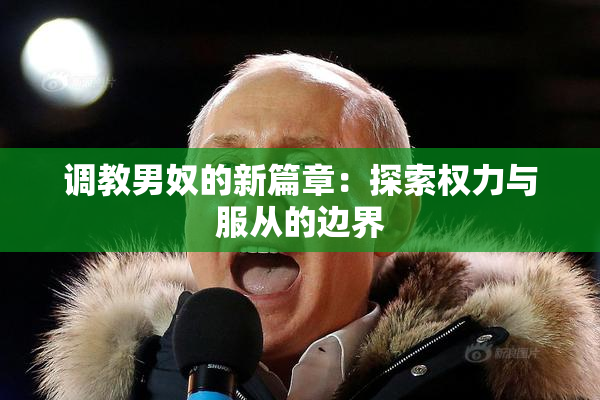 调教男奴的新篇章：探索权力与服从的边界