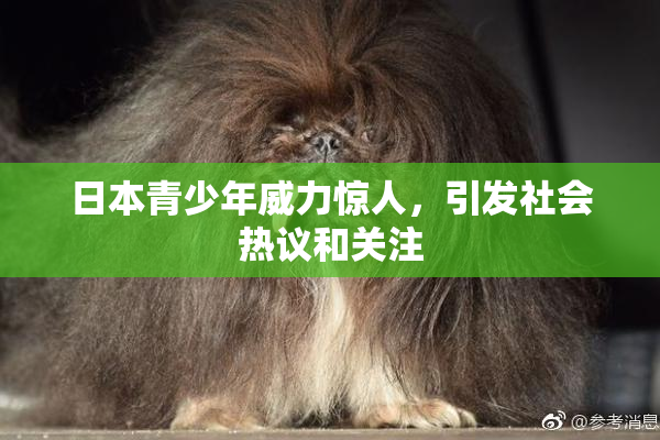日本青少年威力惊人，引发社会热议和关注
