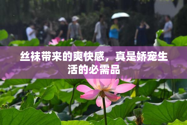 丝袜带来的爽快感，真是娇宠生活的必需品