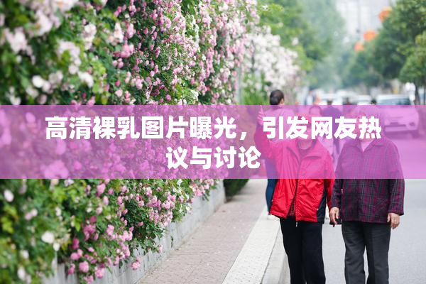 高清裸乳图片曝光，引发网友热议与讨论