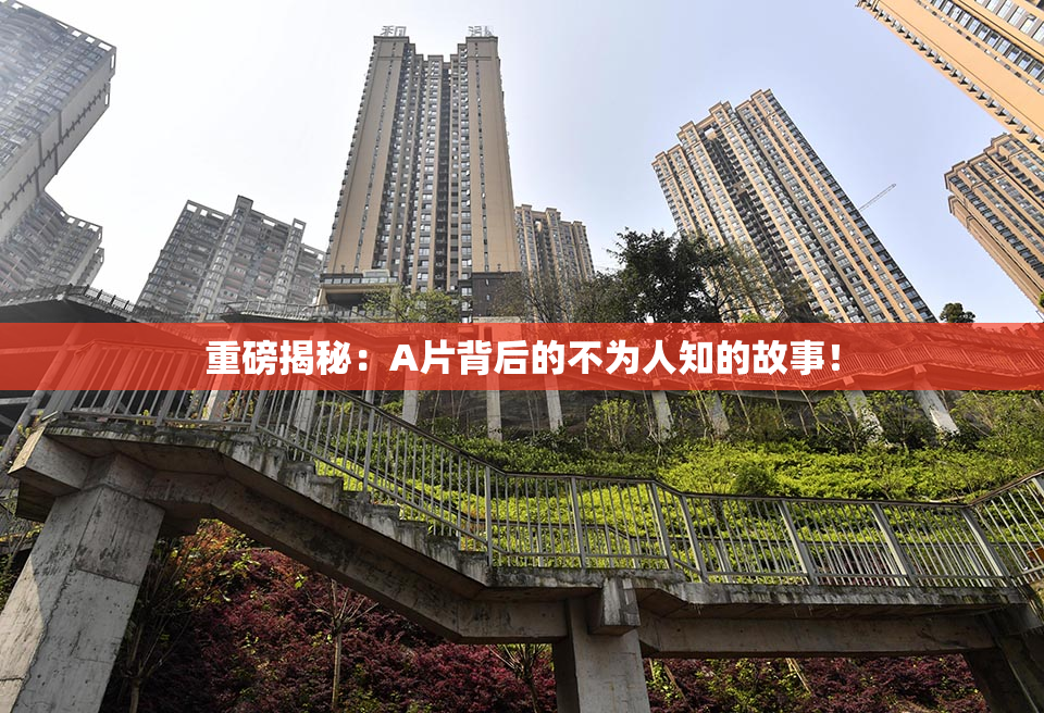 重磅揭秘：A片背后的不为人知的故事！