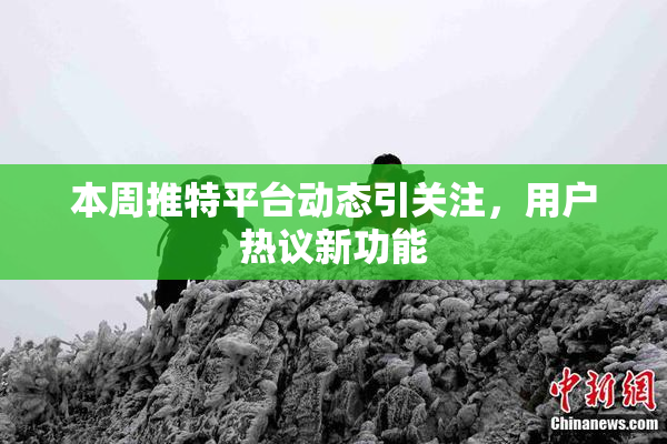 本周推特平台动态引关注，用户热议新功能