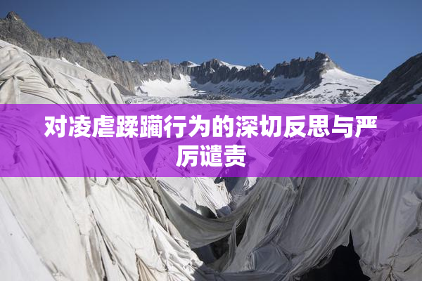 对凌虐蹂躏行为的深切反思与严厉谴责