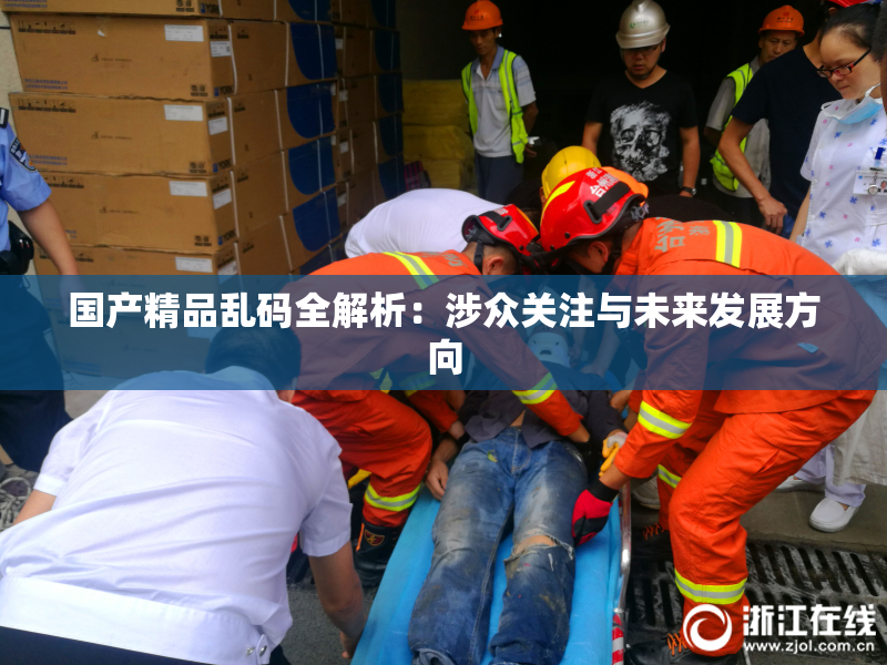 国产精品乱码全解析：涉众关注与未来发展方向