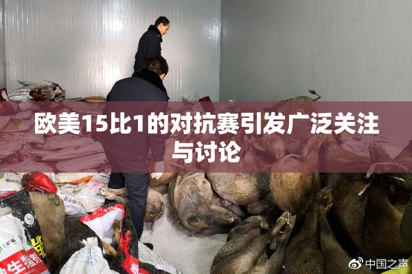欧美15比1的对抗赛引发广泛关注与讨论