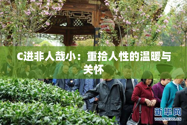 C进非人哉小：重拾人性的温暖与关怀
