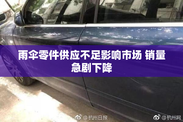 雨伞零件供应不足影响市场 销量急剧下降