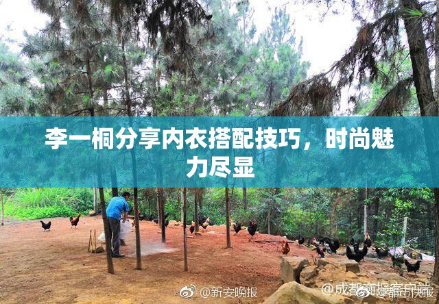李一桐分享内衣搭配技巧，时尚魅力尽显