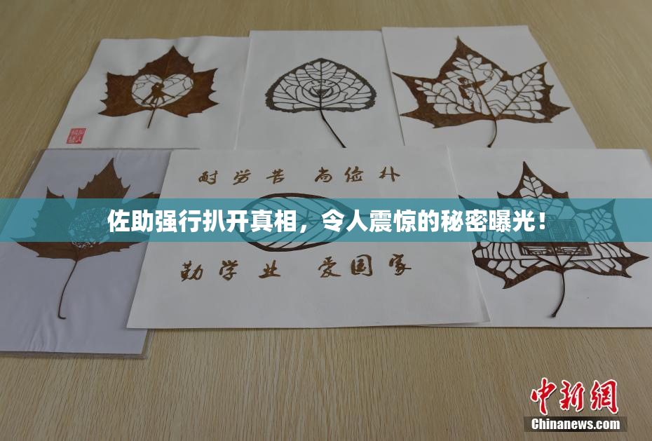 佐助强行扒开真相，令人震惊的秘密曝光！