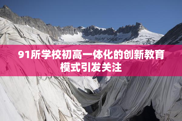 91所学校初高一体化的创新教育模式引发关注