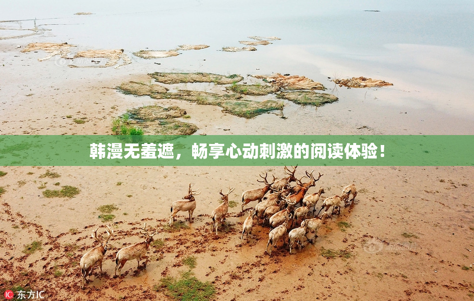韩漫无羞遮，畅享心动刺激的阅读体验！