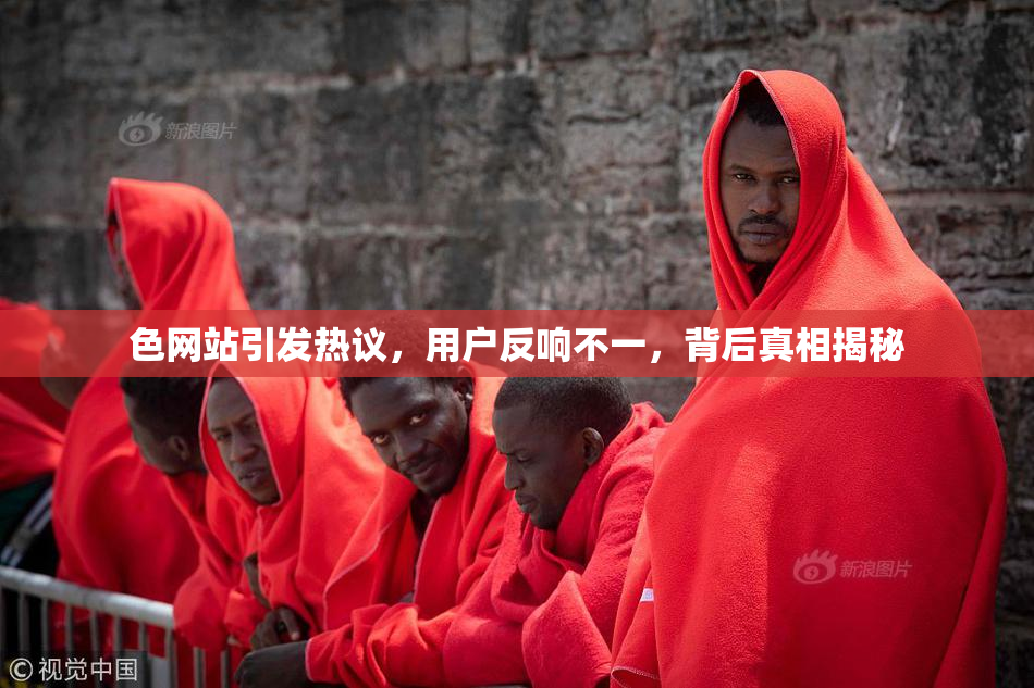 色网站引发热议，用户反响不一，背后真相揭秘