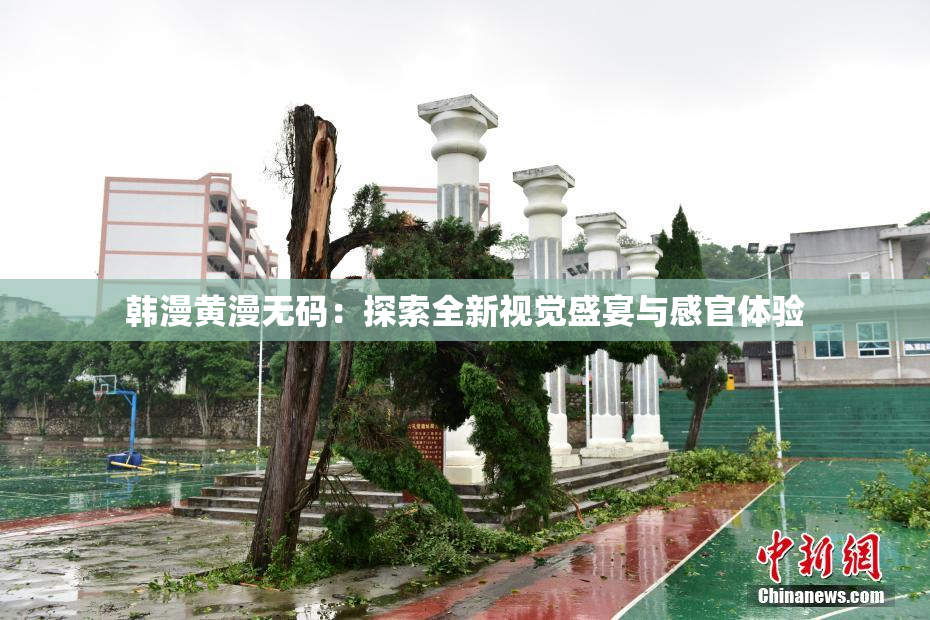 韩漫黄漫无码：探索全新视觉盛宴与感官体验