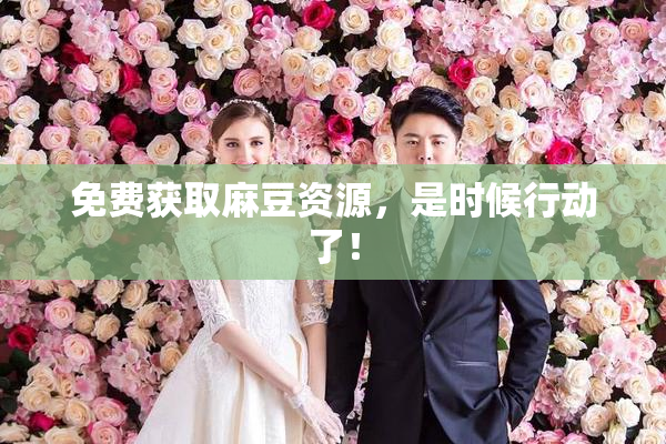 免费获取麻豆资源，是时候行动了！