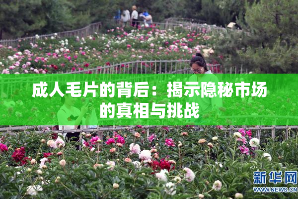 成人毛片的背后：揭示隐秘市场的真相与挑战