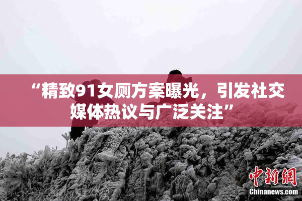 “精致91女厕方案曝光，引发社交媒体热议与广泛关注”