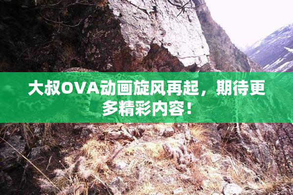 大叔OVA动画旋风再起，期待更多精彩内容！
