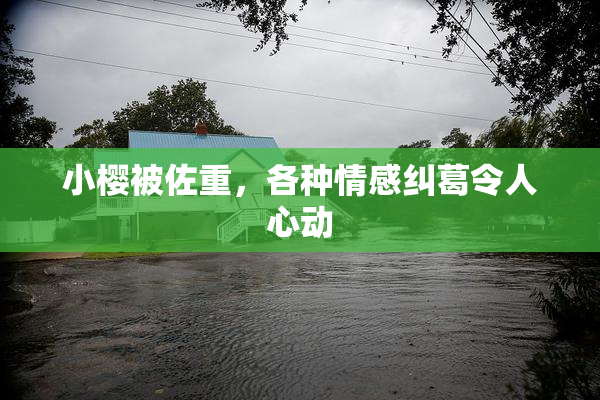 小樱被佐重，各种情感纠葛令人心动