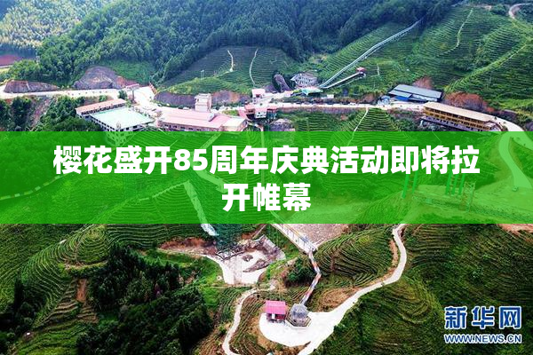 樱花盛开85周年庆典活动即将拉开帷幕