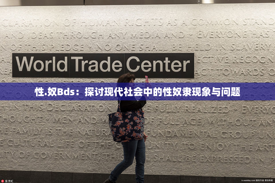 性.奴Bds：探讨现代社会中的性奴隶现象与问题