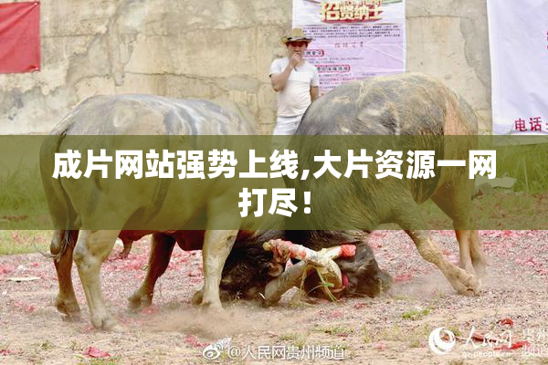 成片网站强势上线,大片资源一网打尽！