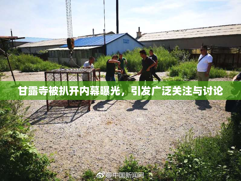 甘露寺被扒开内幕曝光，引发广泛关注与讨论