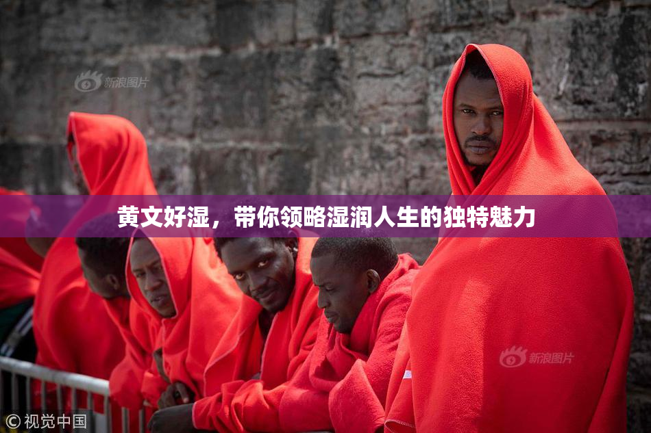 黄文好湿，带你领略湿润人生的独特魅力