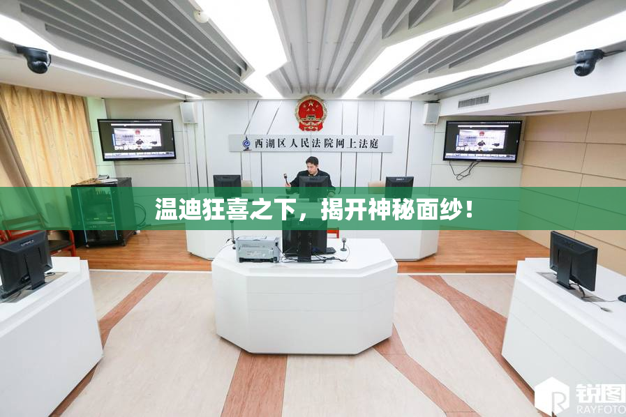 温迪狂喜之下，揭开神秘面纱！