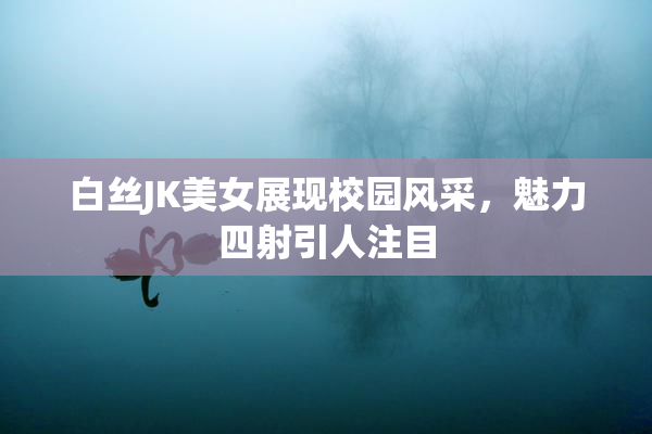 白丝JK美女展现校园风采，魅力四射引人注目