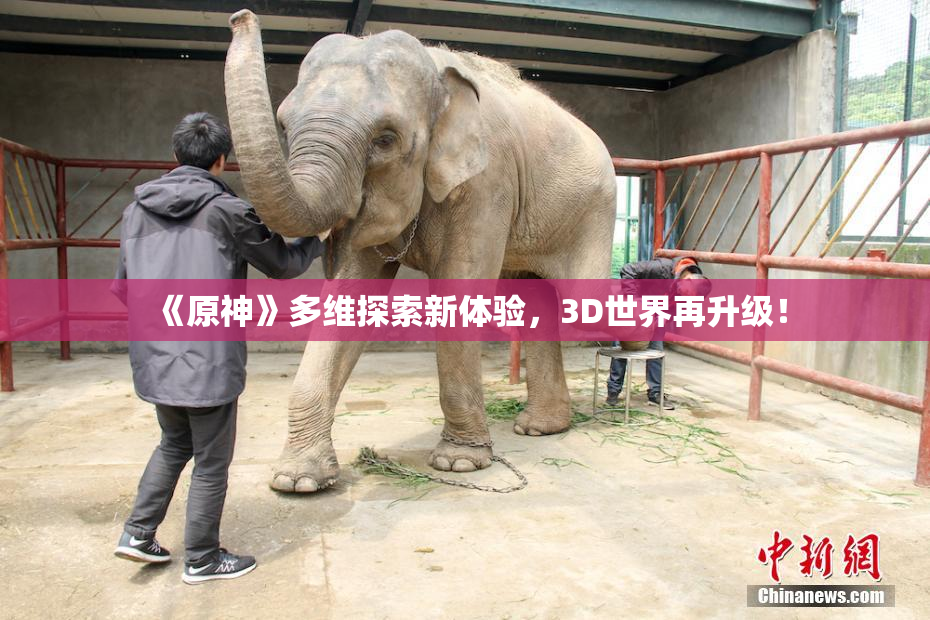 《原神》多维探索新体验，3D世界再升级！